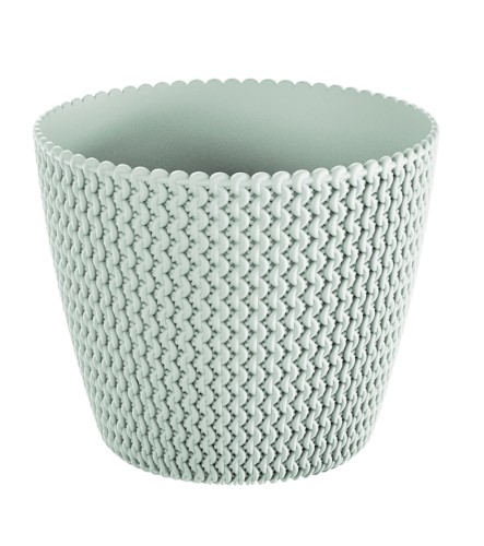 DSP190_S499 SPLOFY.jpg