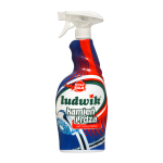 LUDWIK kamień i rdza spray  750ml