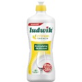 Ludwik_Ludwik_plyn_do_mycia_naczyn_900g_-_cytrynowy_20338976_0_1000_1000.jpg