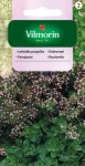 Oregano lebiodka pospolita 0,1g