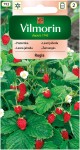 Poziomka Rugia średnio późna 0,2g