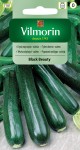 Dynia zwyczajna cukinia Black Beauty 2g