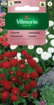 Stokrotka pomponowa mieszanka 0,1g