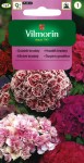 Goździk brodaty pełnokwiatowy mieszanka 0,5g