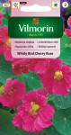 Nasturcja większa WHIRLY BIRD CHERRY ROSE 3g