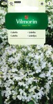 Lobelia Stroiczka White Lady biała 0,5g