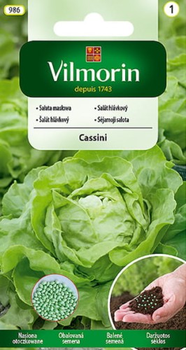 salata cassini-VIL-17-18.jpg