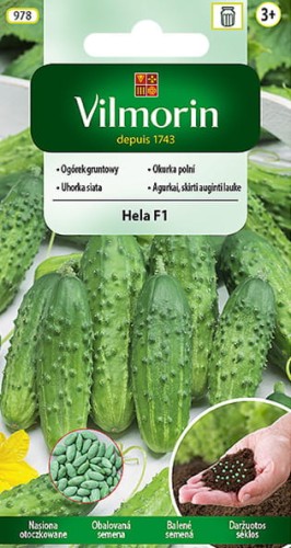 ogorek hela-VIL-9-18.jpg
