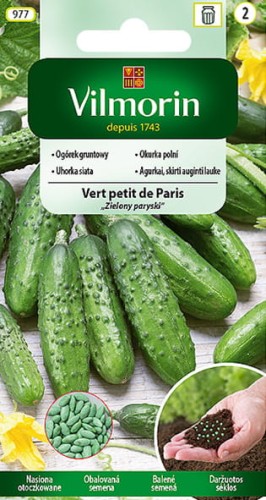 ogorek vert petit de paris-VIL-8-18.jpg