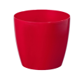MAGNOLIA-CZERWONY-NR-01-removebg-preview.png