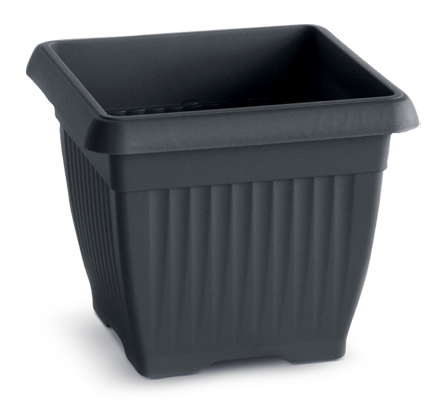 Terra_DKWT_S433.png