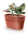 Furu_DFA275_7598U_roslina.png