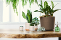 Tubo_Eco_Wood_aranz_01.png