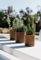 Tubo_P_Eco_Wood_DPOPW_aranz_02.png