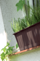 agro_IS_aranz_06_braz.png
