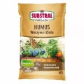 humus.jpg