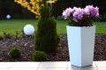 FINEZJA-RATTAN-biały-nr-05-1.jpg