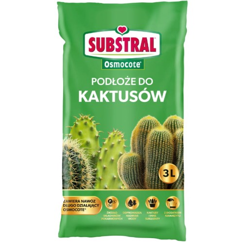 kaktus 3l.jpg