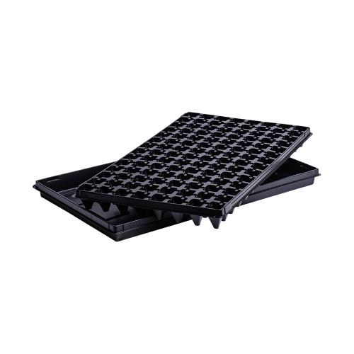 Vefi_810205_3.png
