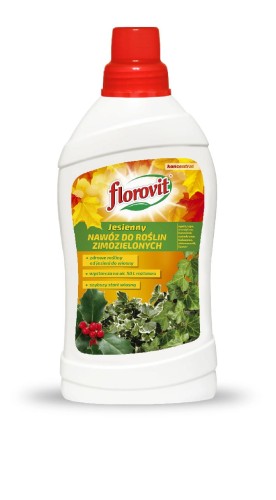 NW500080436_Wiz_butelka1kg_jesienne_zimozielone.jpg