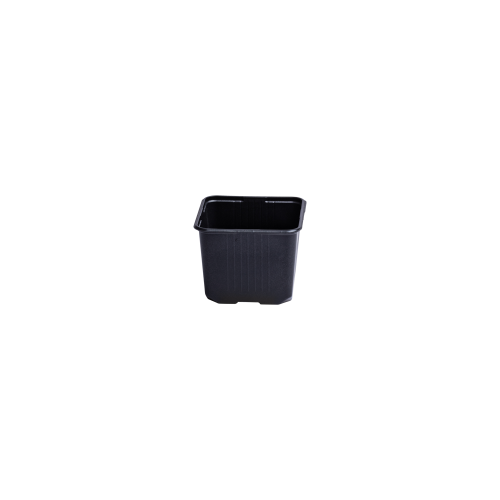 Vefi_800561.png