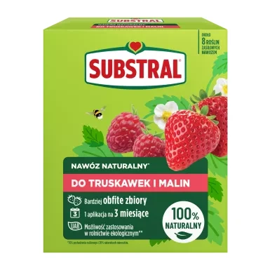 1382101_SUB-TERRA-Strawberries-&-raspberries-650G.png.webp