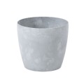 magnolia beton.jpg
