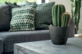 Areco_Beton_Effect_DAREE_S433_aranz_01.webp
