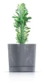 Tubo_P_Beton_Effect_DPOPE_425U_roslina.webp
