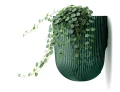 Milly_Wall_DMIW150_2411U_roslina_02.webp
