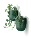 Milly_Wall_DMIW150_2411U_roslina_01.webp
