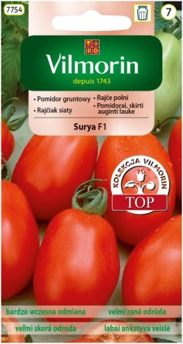 pomidor-surya-f1-gruntowy.jpg