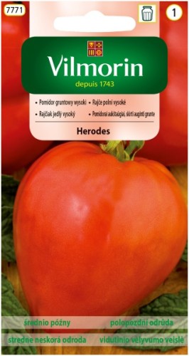 pomidor-gruntowy-wysoki-herodes.jpg