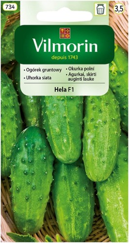 ogorek-gruntowy-hela-f1.jpg