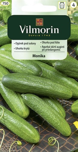 ogorek-pod-oslony-monika.jpg