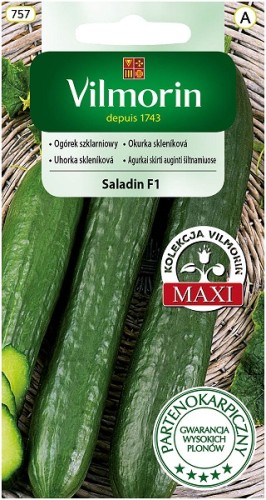 ogorek-szklarniowy-saladin-f1.jpg