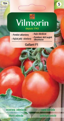 pomidor-szklarniowy-gallant-f1.jpg