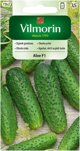 ogorek-gruntowy-aloe-f1.jpg