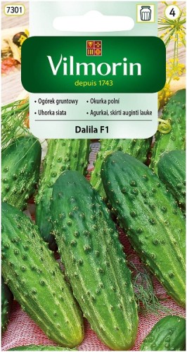 ogorek-gruntowy-dalila-f1.jpg