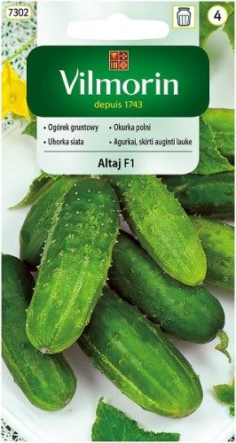 ogorek-gruntowy-altaj-f1.jpg