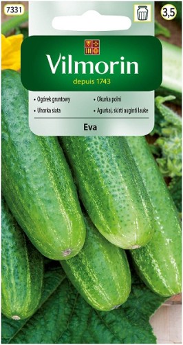ogorek-gruntowy-eva.jpg