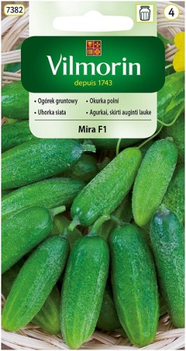 ogorek-gruntowy-mira-f1.jpg