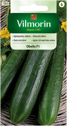 ogorek-gruntowy-salatkowy-obelix-f1.jpg