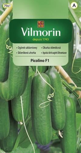 ogorek-szklarniowy-picolino-f1.jpg