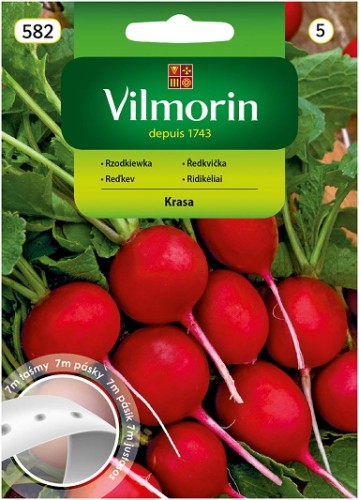 rzodkiewka-krasa-na-tasmie-7m.jpg