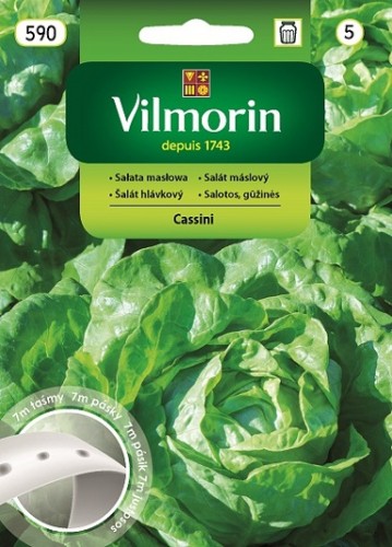salata-cassini-na-tasmie-7m.jpg