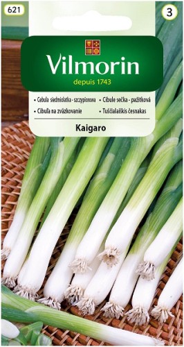 cebula-kaigaro-siedmiolatka.jpg