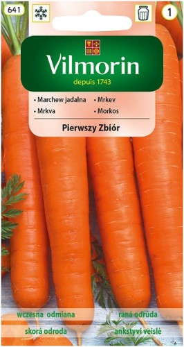 marchew-jadalna-pierwszy-zbior.jpg