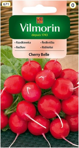 rzodkiewka-cherry-belle.jpg