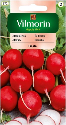 rzodkiewka-fiesta.jpg